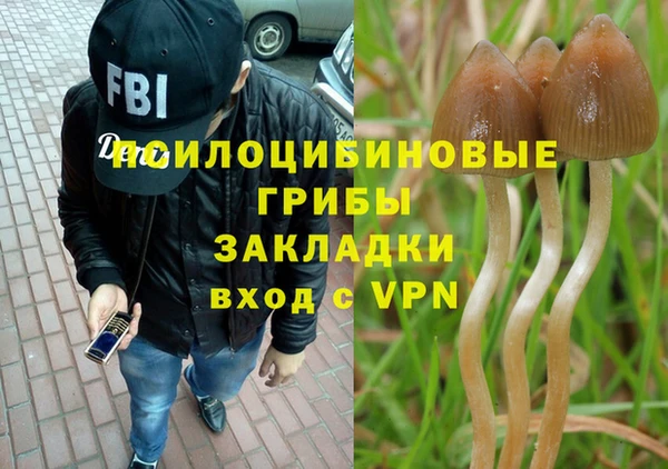 кокс Белокуриха